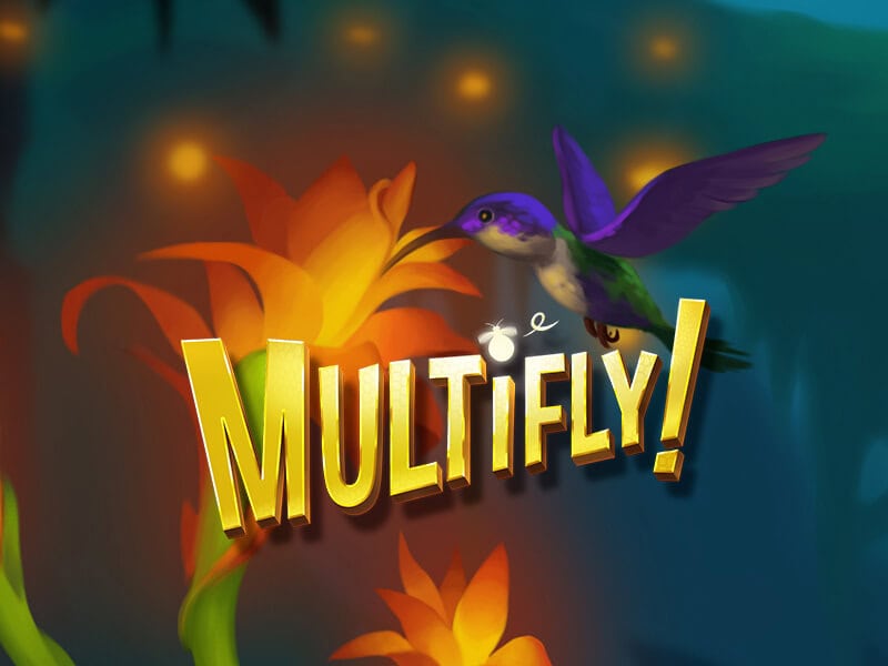 MultiFly