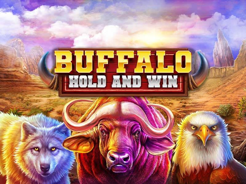 Buffalo Hold and Win