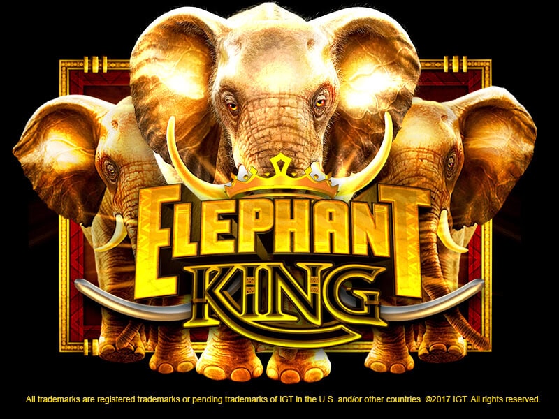 Elephant King