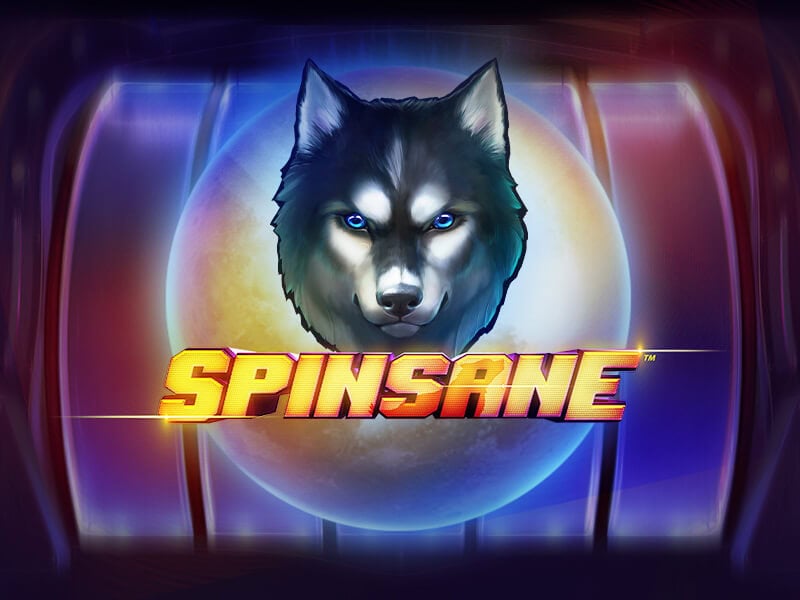 Spinsane