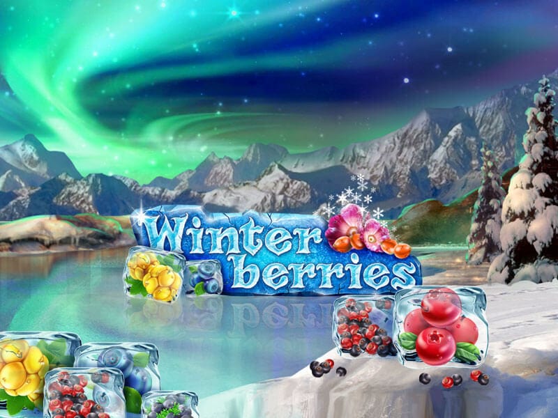 Winter Berries