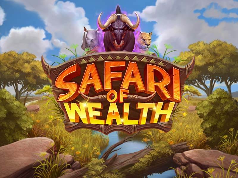 Safari of Wealth