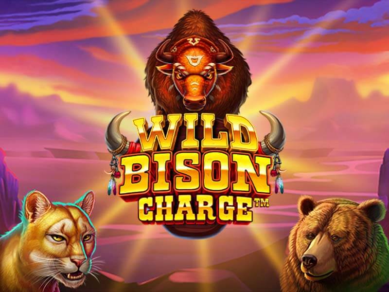 Wild Bison Charge