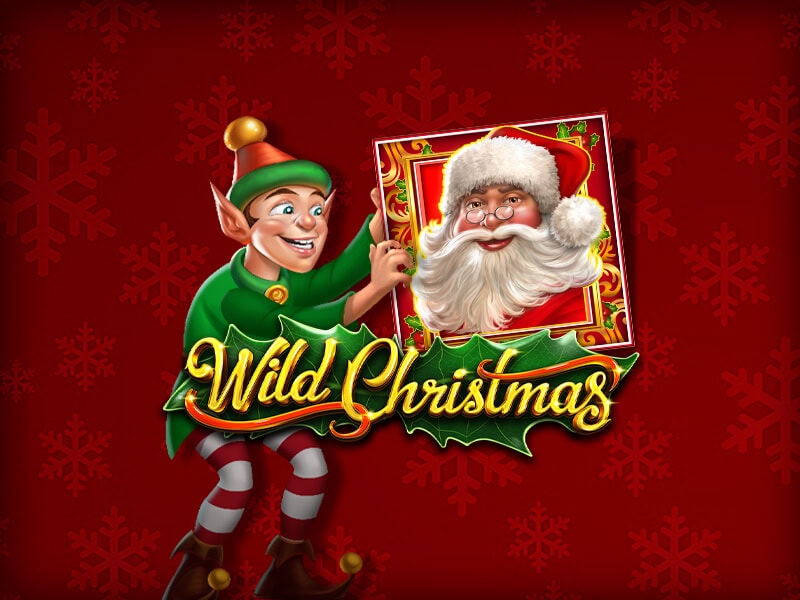 Wild Christmas