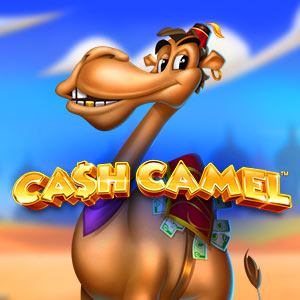 Cash Camel