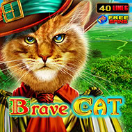 Brave Cat