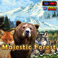 Majestic Forest