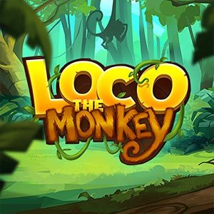 Loco the Monkey