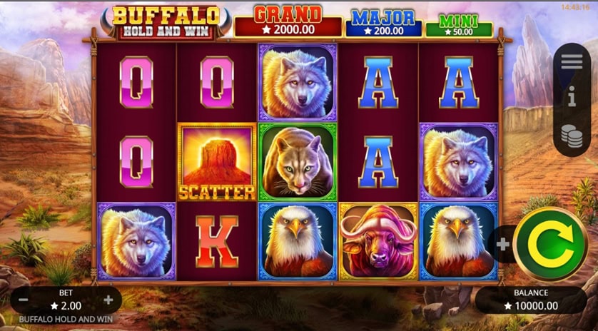 Žaisti dabar - Buffalo Hold and Win