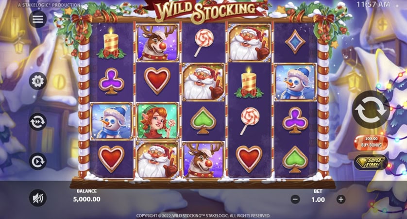 Žaisti dabar - Wild Stocking