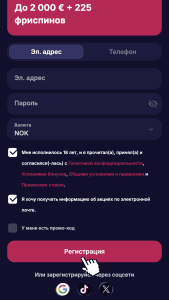 Pasirinkite registracijos būdą